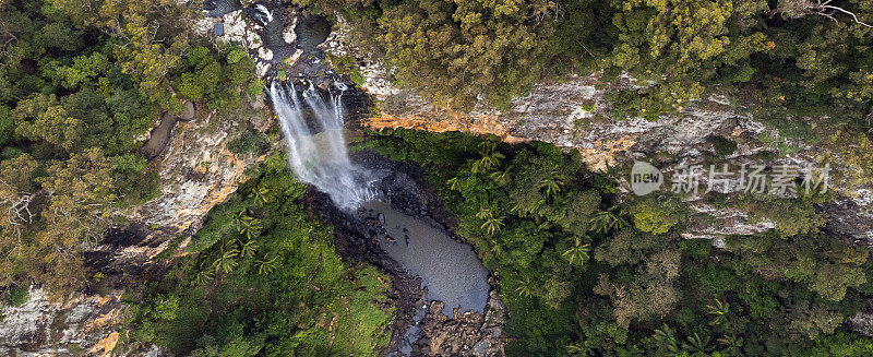 Purlingbrook Falls, Springbrook NP，靠近黄金海岸，澳大利亚